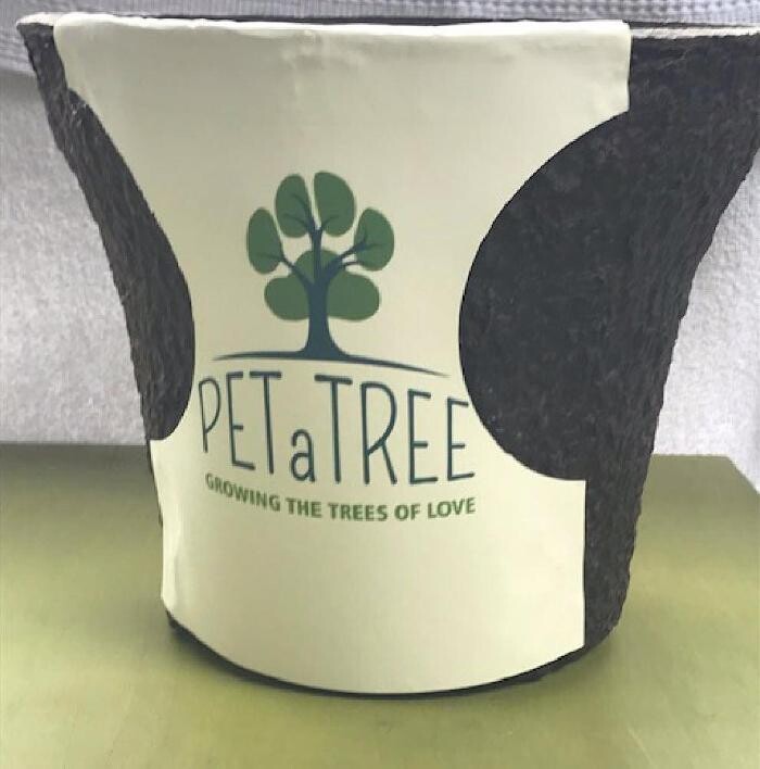 Images Petatree
