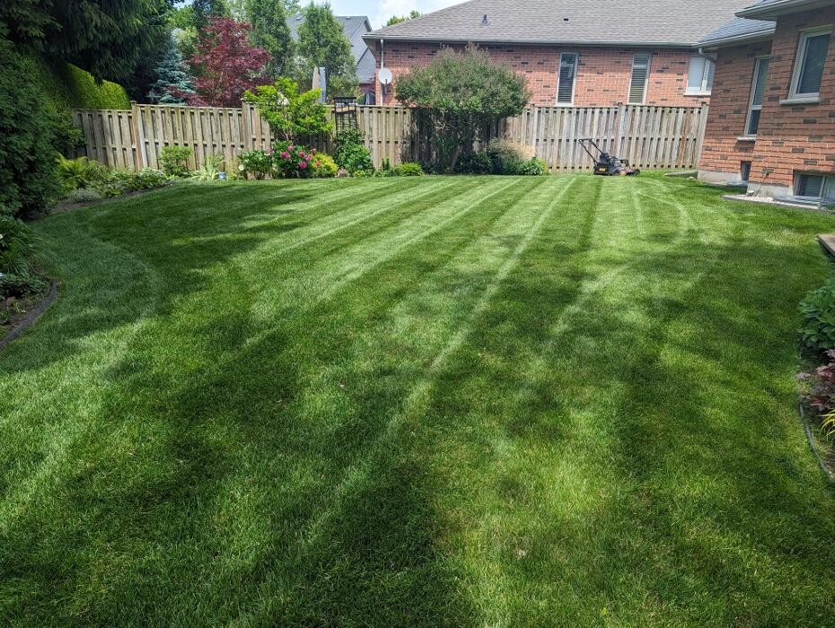 Images Neables Landscaping