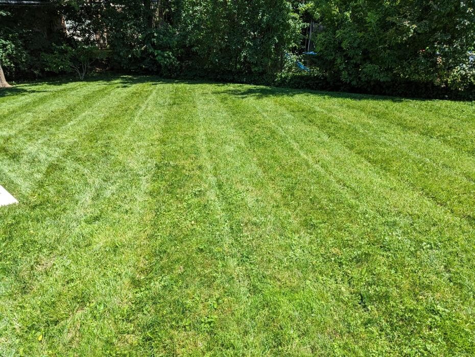 Images Neables Landscaping