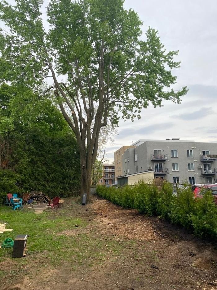 Images Services D'arbres G.F.