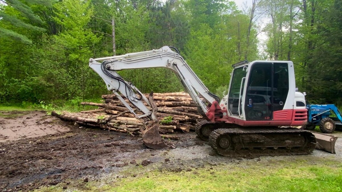 Images L.G Forestry and Excavation
