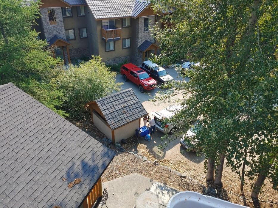 Images DW Tree Removal