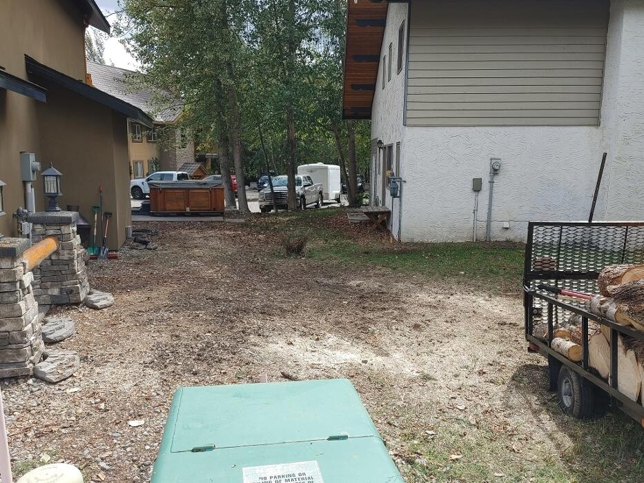 Images DW Tree Removal