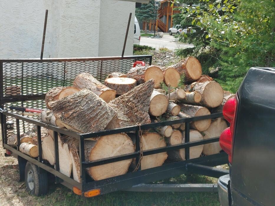 Images DW Tree Removal