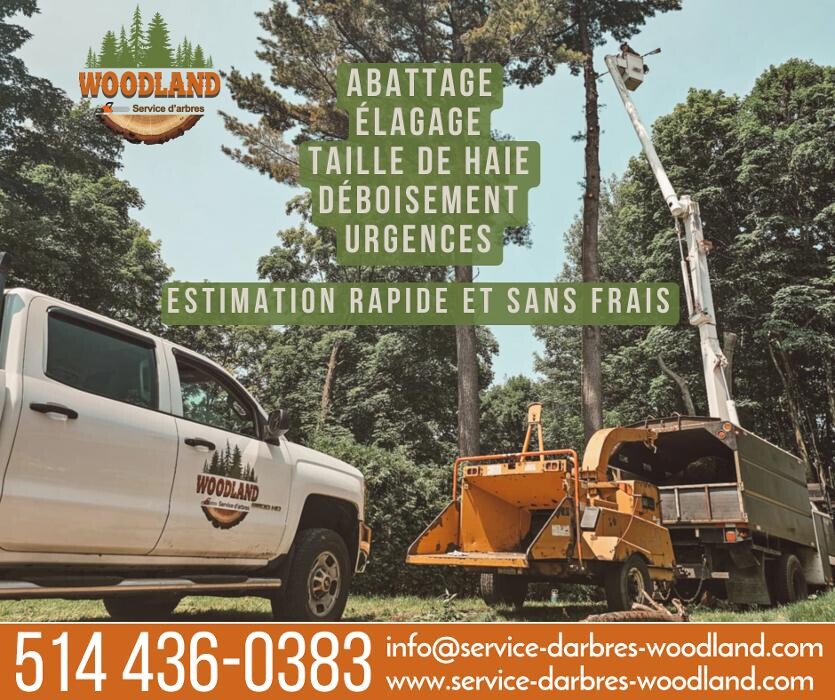 Images Service d'arbres Woodland