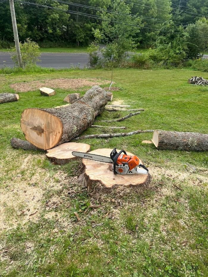 Images knotty tree care