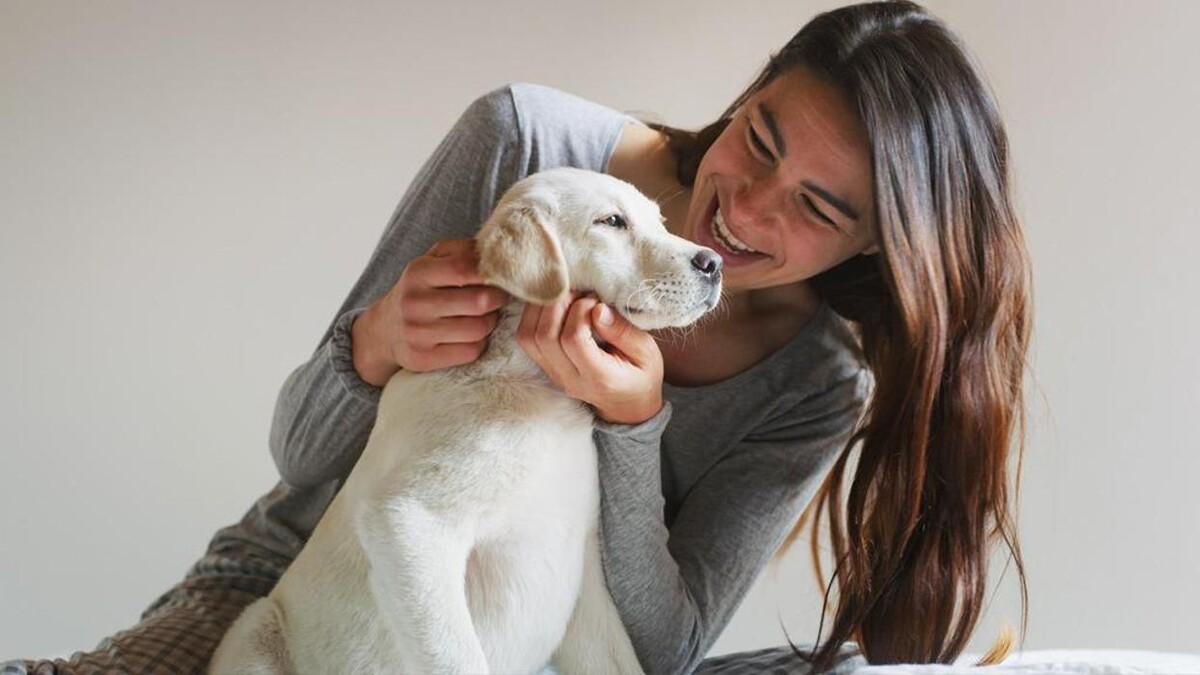 Images Pet Friendly House