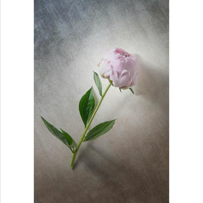 Images Bryce Murdoch Photography