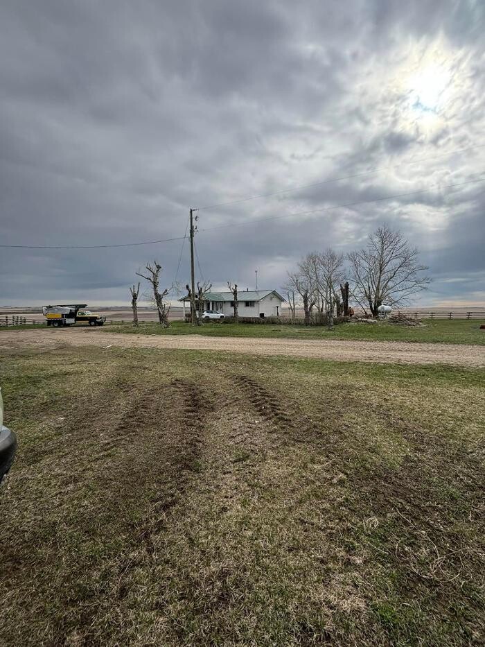 Images Spikes Tree Hugging Services