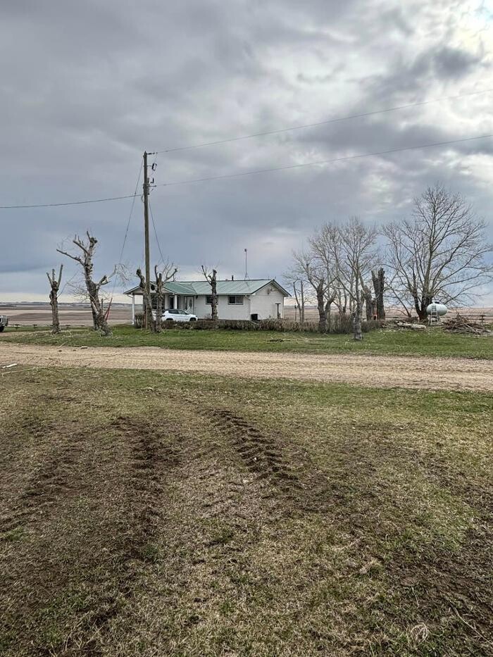 Images Spikes Tree Hugging Services