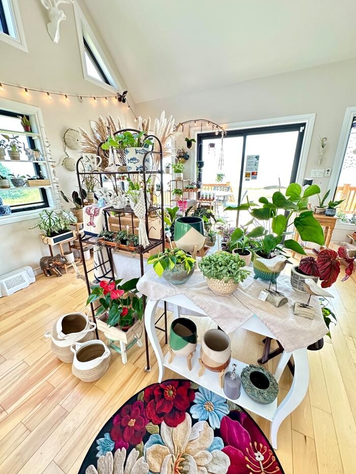 Images Créations entre mer et montagne