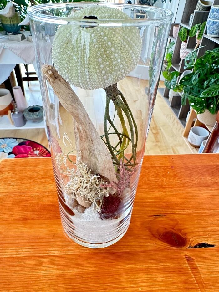 Images Créations entre mer et montagne