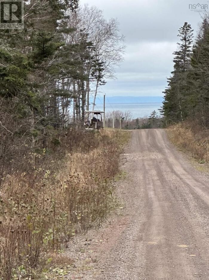 Images Leslie Stoddart Realtor - Exit Realty Town & Country