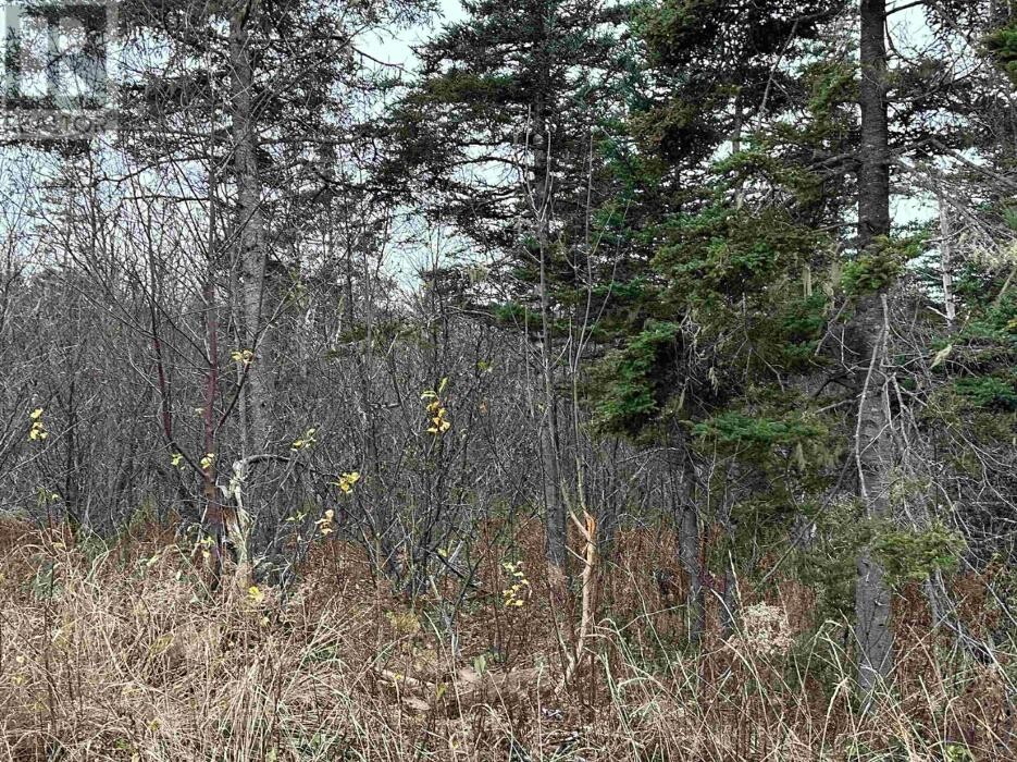 Images Leslie Stoddart Realtor - Exit Realty Town & Country