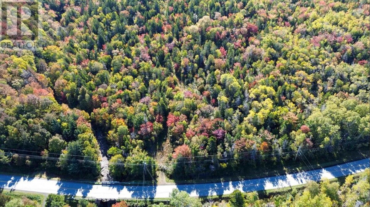 Images Leslie Stoddart Realtor - Exit Realty Town & Country