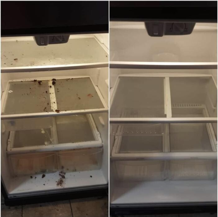 Images Eco Scrubbed Residential and Commercial Cleaners Markham/Richmond hill