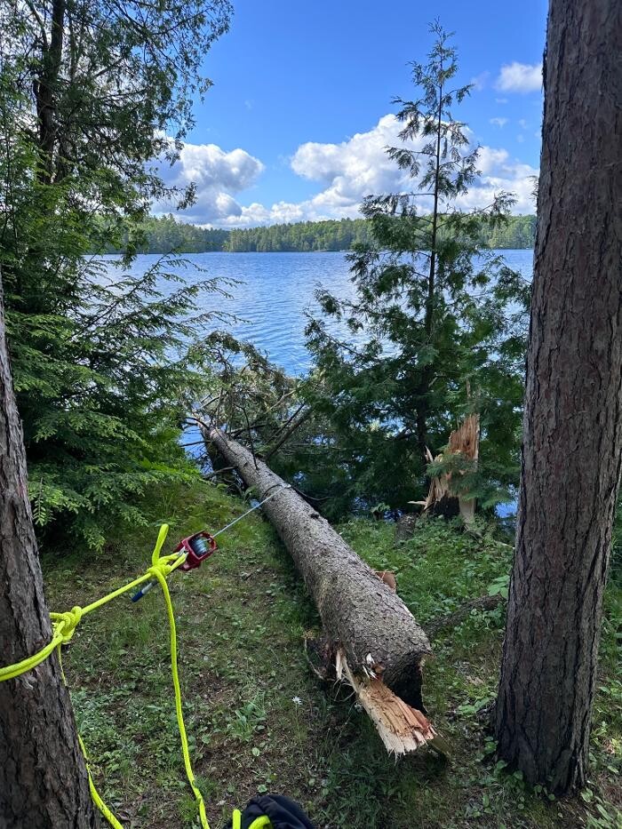 Images T.T.T Tree Care Property Maintenance