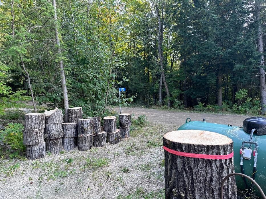 Images T.T.T Tree Care Property Maintenance