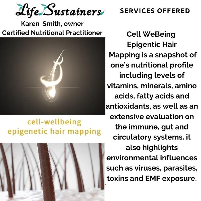Images Life Sustainers