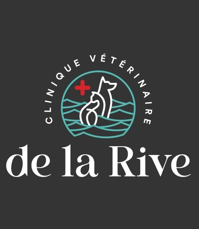 Images Clinique Vétérinaire De La Rive