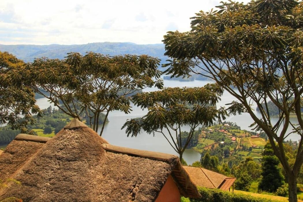 Images African Safaris Pro Tours