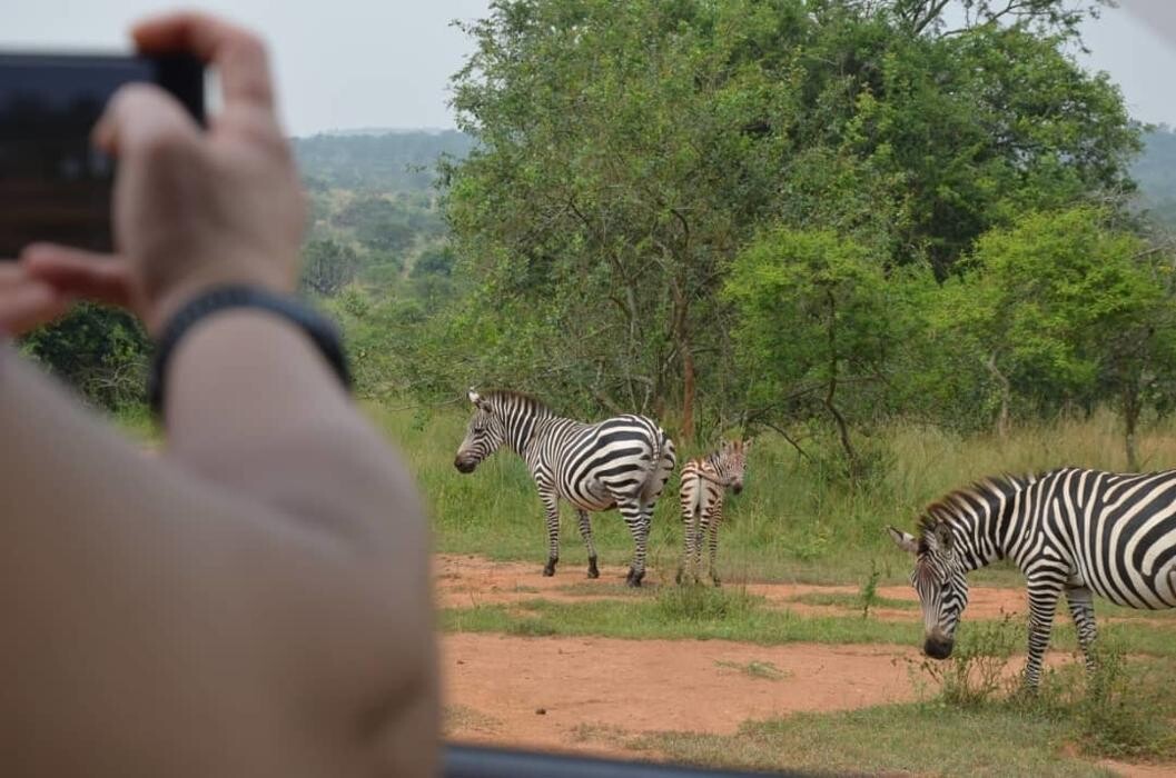 Images African Safaris Pro Tours