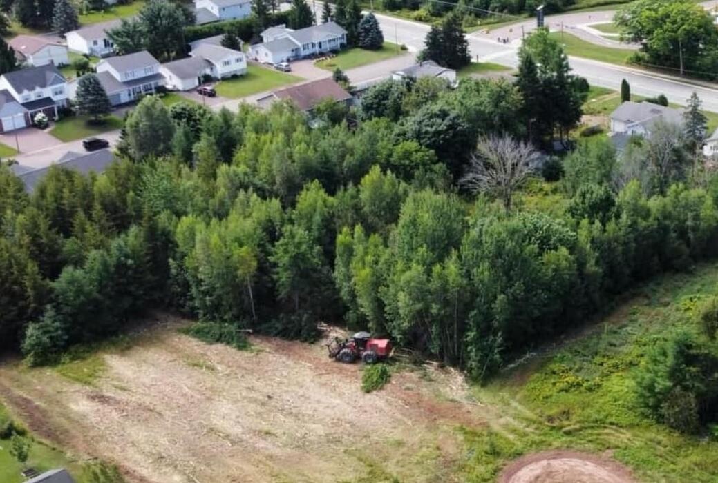 Images Unique Mulching