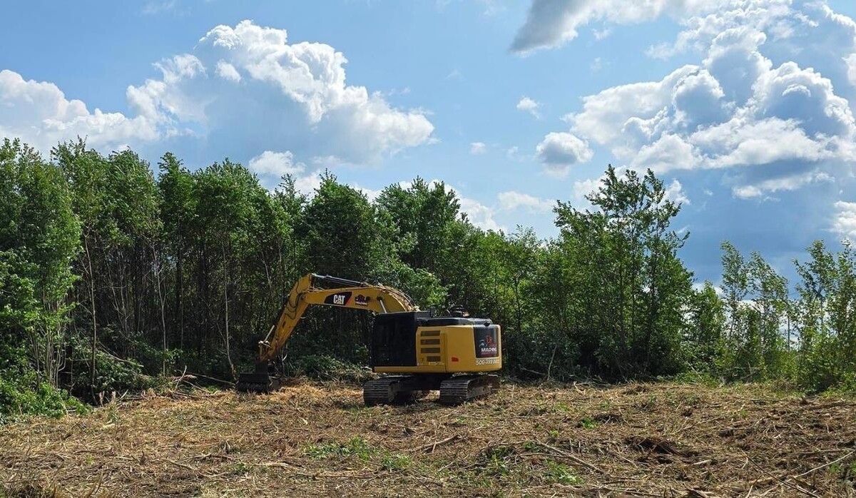 Images Unique Mulching