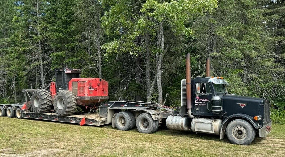 Images Unique Mulching