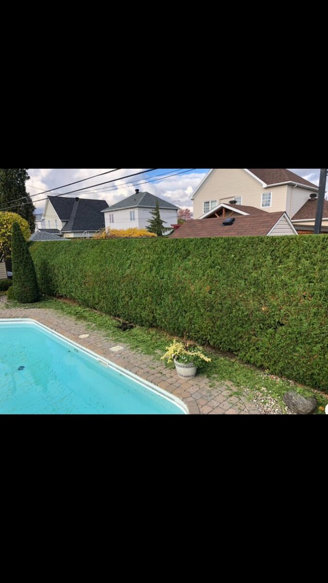 Images Haie-Extra