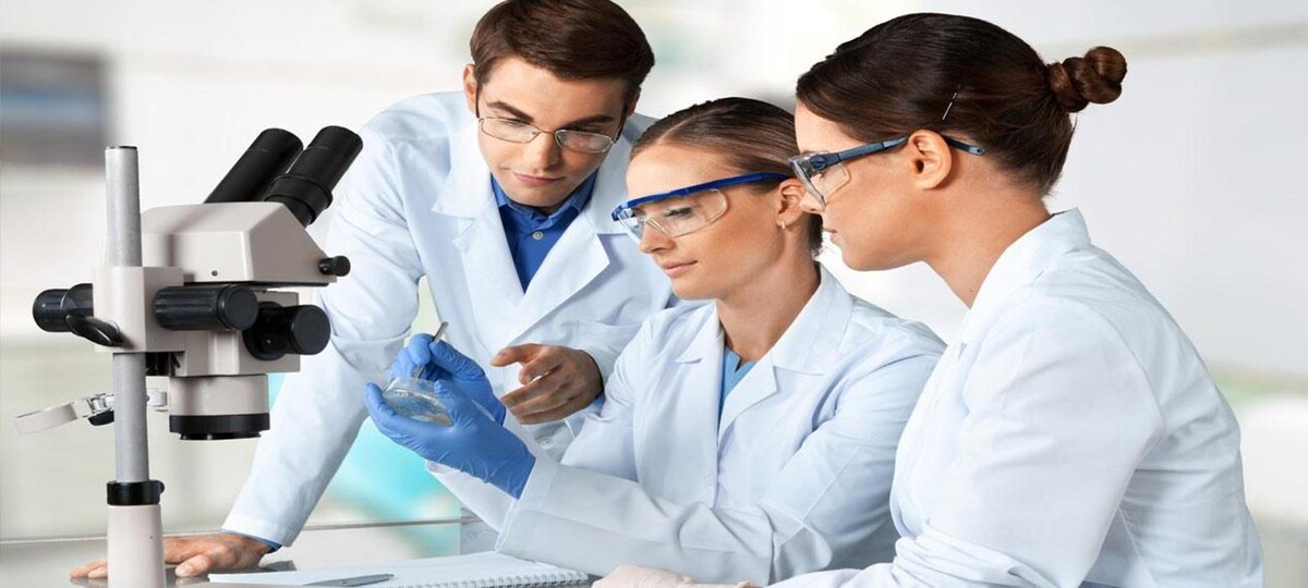 Images IES Consulting Group Inc.