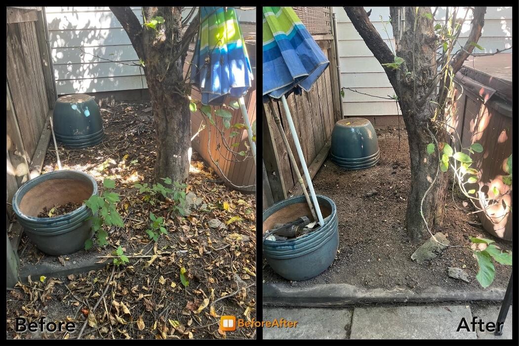 Images Colour Me Clean Painting & Cleaning Services