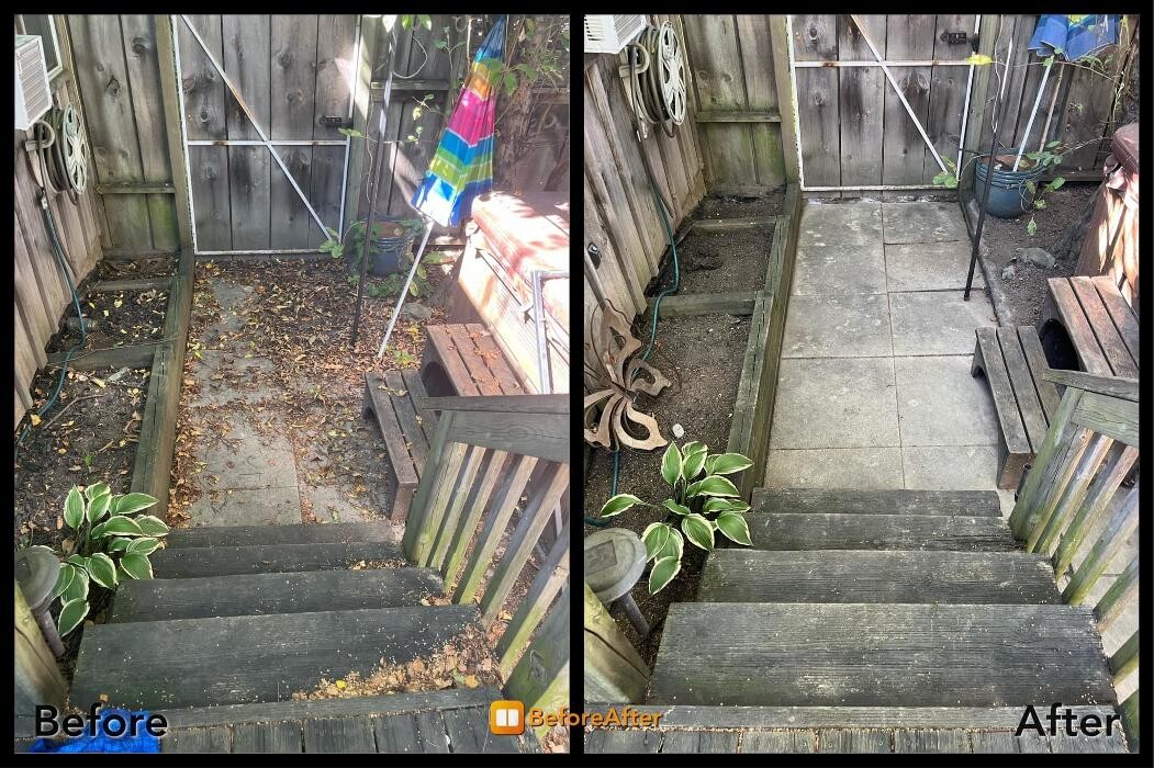Images Colour Me Clean Painting & Cleaning Services
