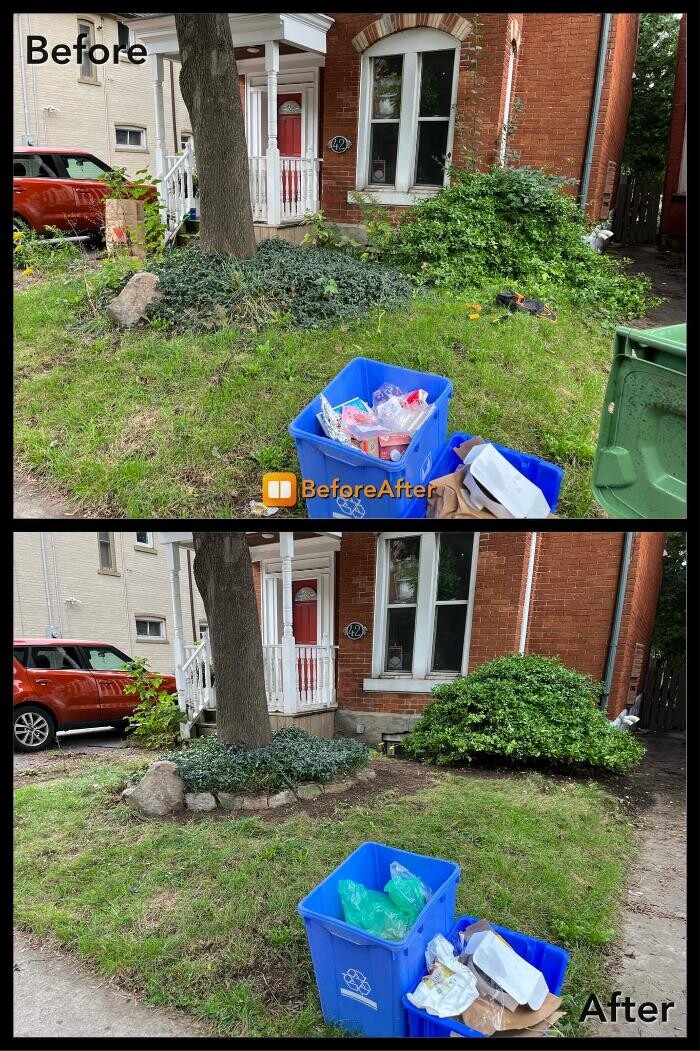 Images Colour Me Clean Painting & Cleaning Services