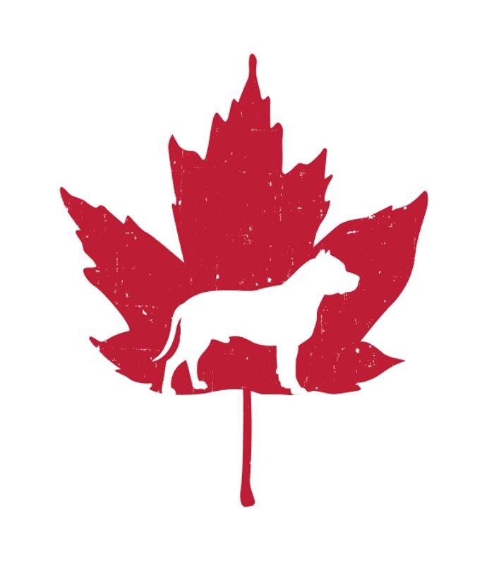 The Doghouse - A Canine Academy Logo