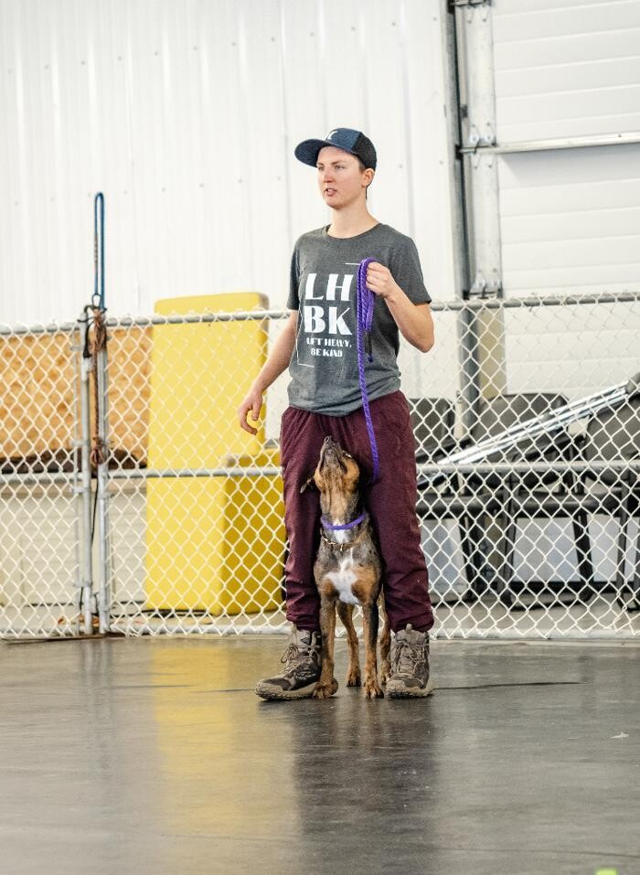 Images The Doghouse - A Canine Academy