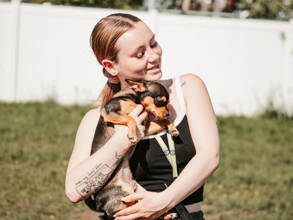 Images The Doghouse - A Canine Academy