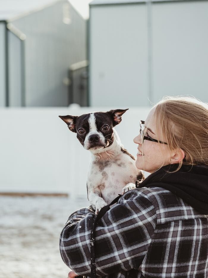 Images The Doghouse - A Canine Academy