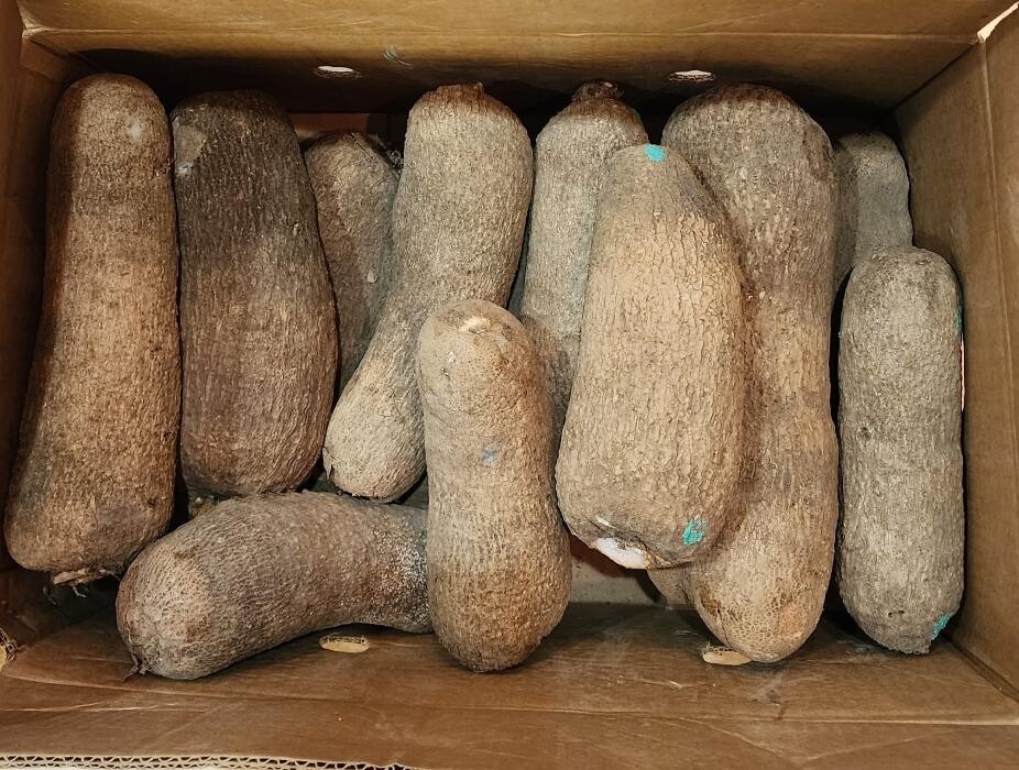 Images Coral Ethnic Market