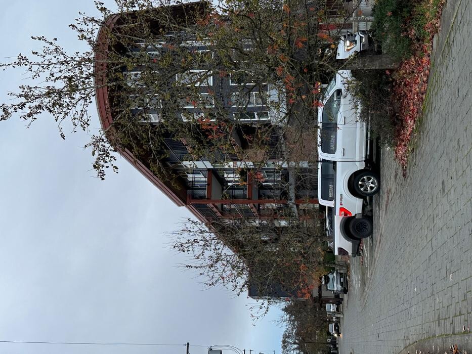 Images Compassionate Healing - Francisca Carrasco Counselling