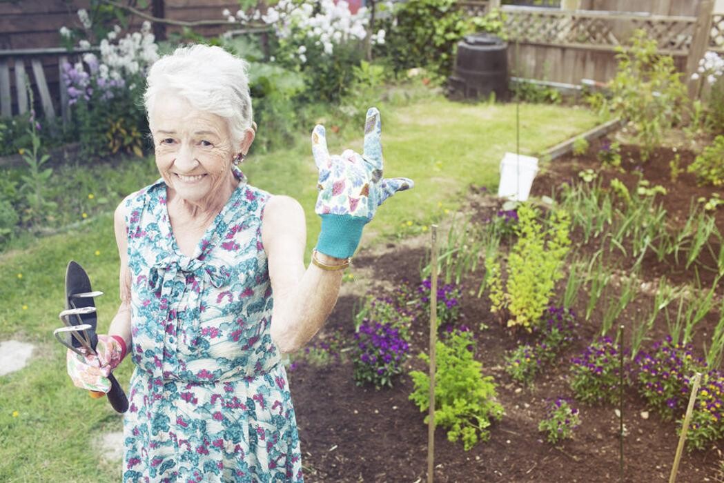 Images Nurse Next Door Home Care Services - London