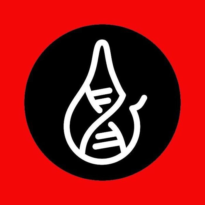 INFINIVA INC. Logo