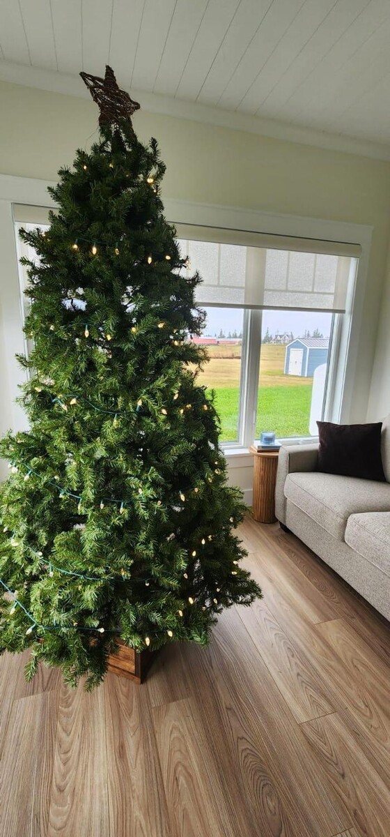 Images Blinds Concept