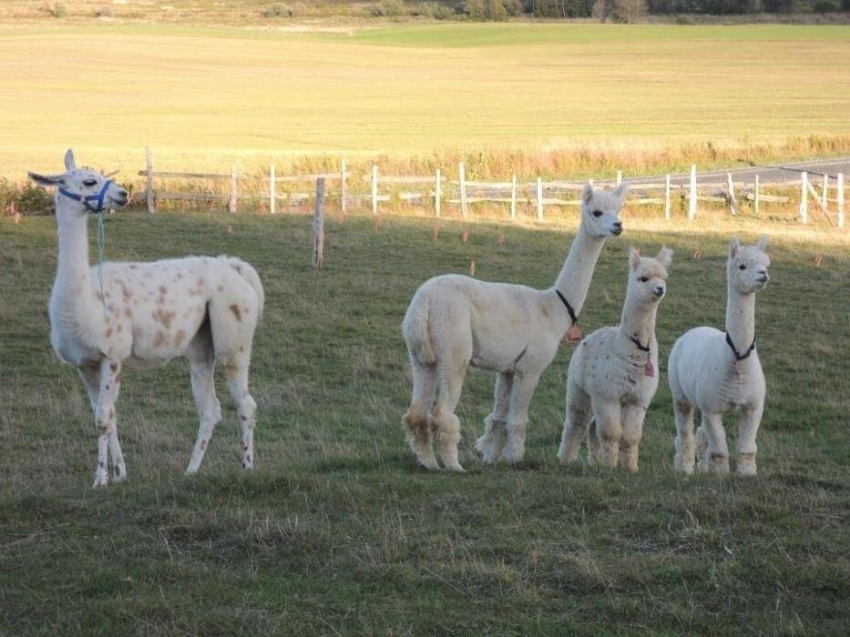 Images Terra Sculpture