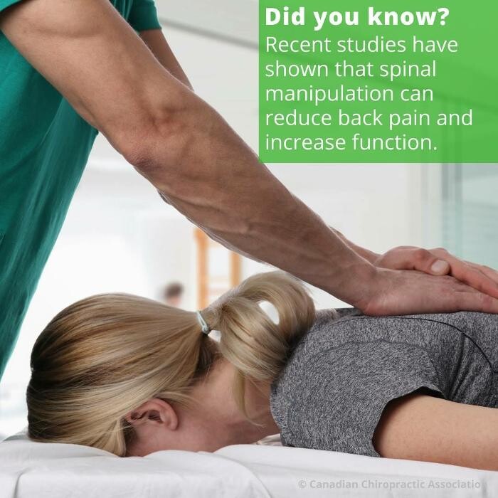 Images Active Chiropractic And Wellness