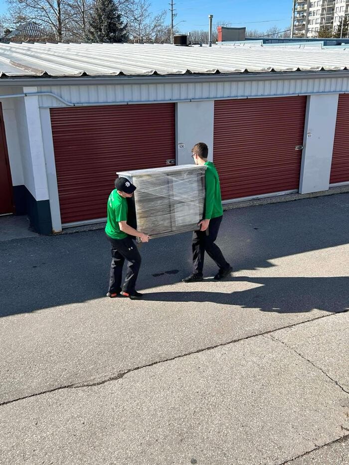 Images Green Lamb Moving