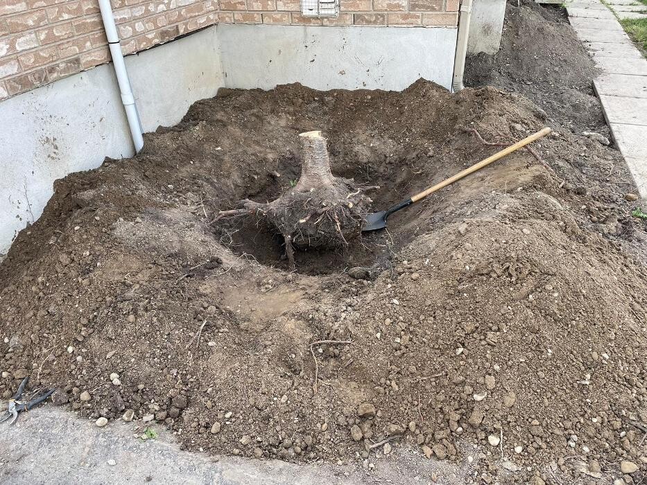 Images Loewen Property Works Inc.