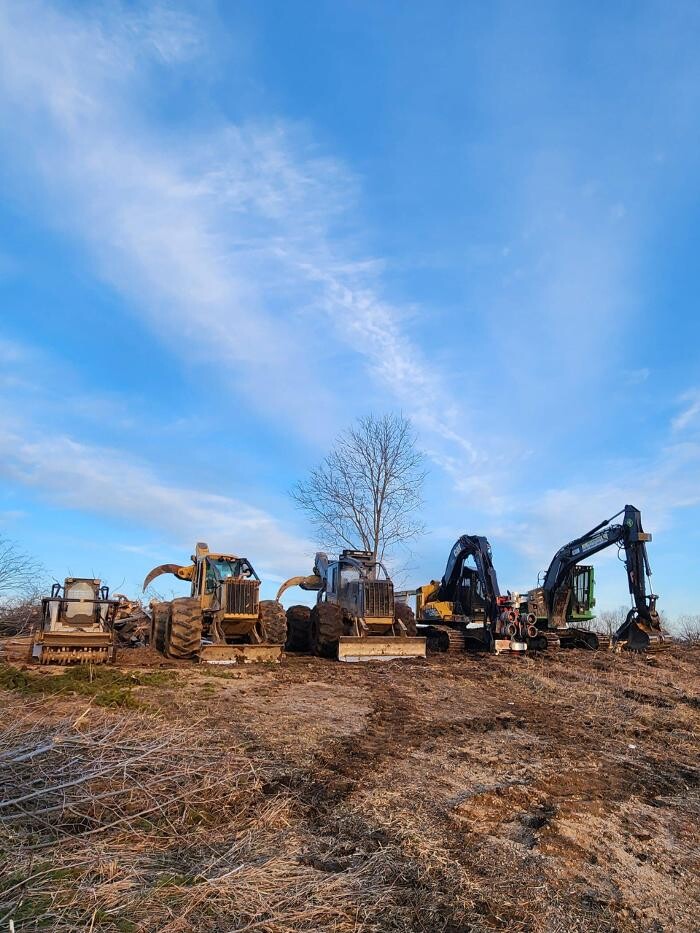 Images Rayzor Edge Tree Service