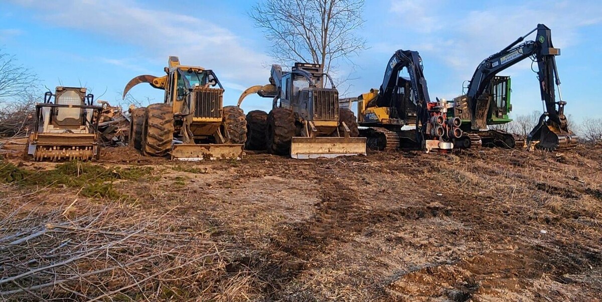 Images Rayzor Edge Tree Service