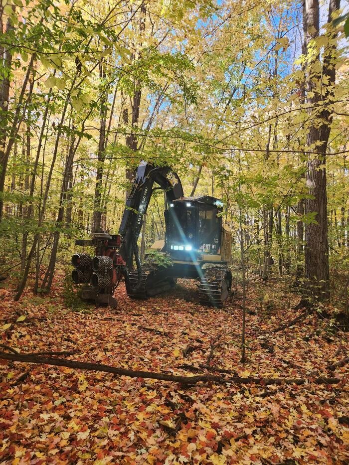 Images Rayzor Edge Tree Service